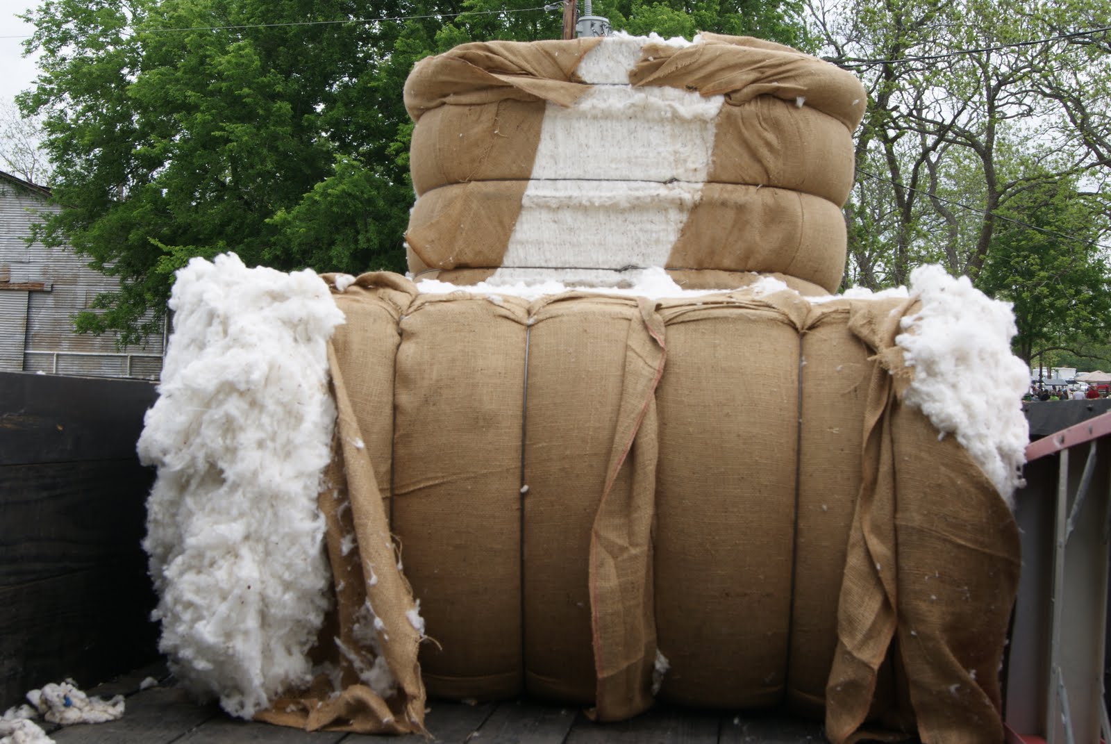 060_cotton_bales_in_back_of_truck.jpg
