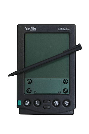 300px-Palm-IMG_7025.jpg