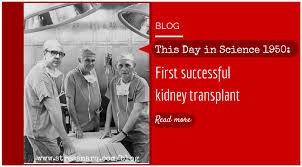 Kidney transpalnt.jpg