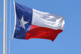 Lone star flagg.jpg