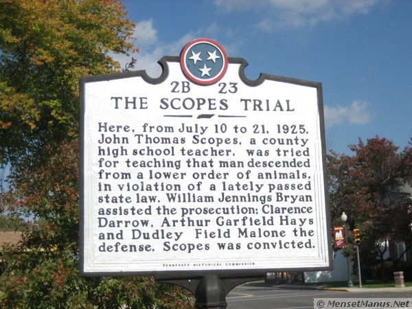 Scopes plaque 2.jpg