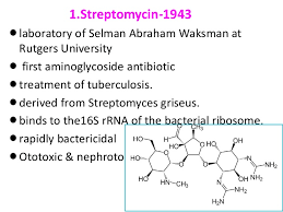 Streptomyacin.png