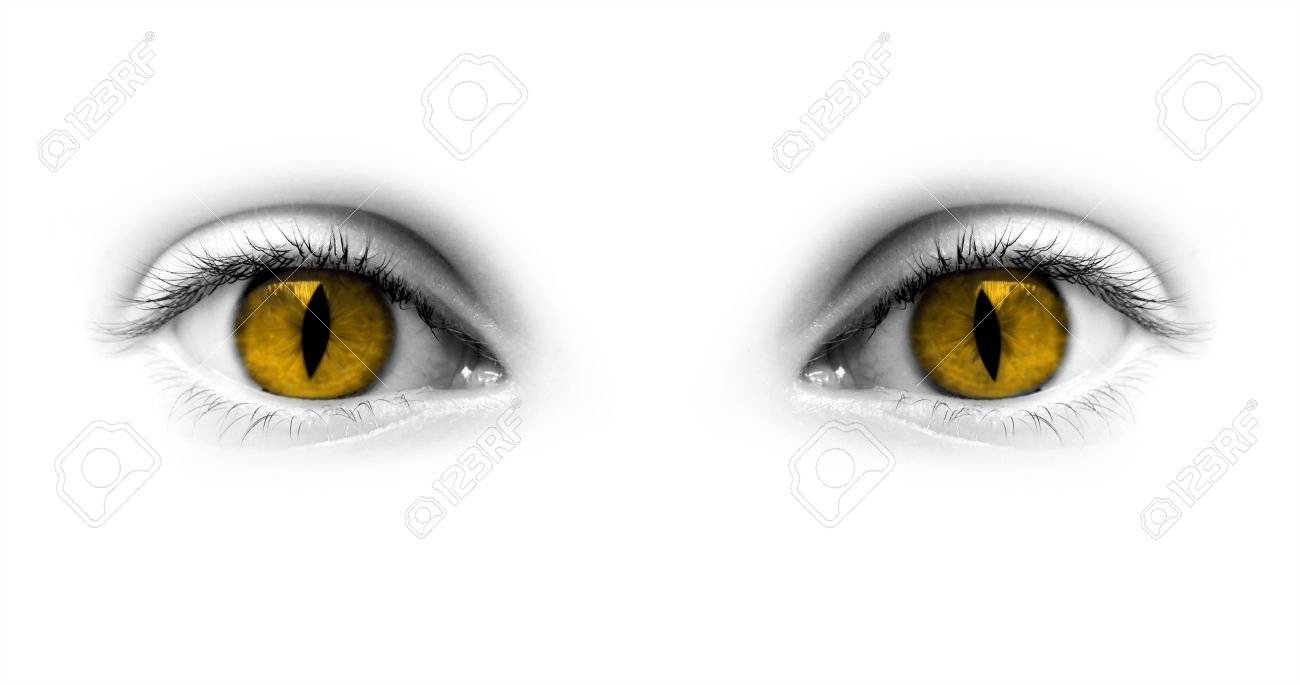 Yellow eyes.jpg