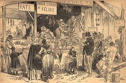 dog-and-cat-butcher-18711.jpg