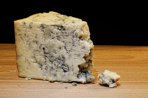 mold-cheese-933309__340.jpg