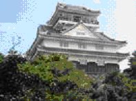 nagoya castle.jpg