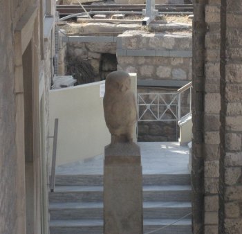 owl on acropolis.jpg