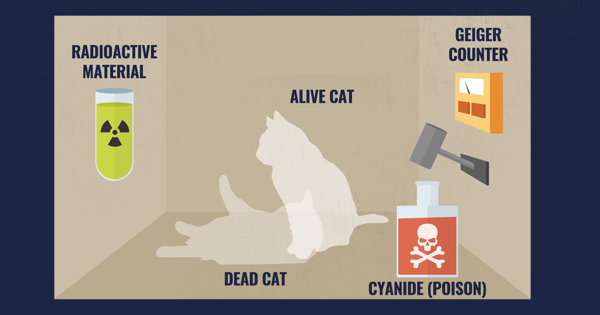 schrodingers-cat-explained-setup.jpg