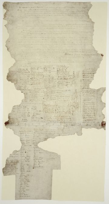 treaty-of-waitangi-360.jpg